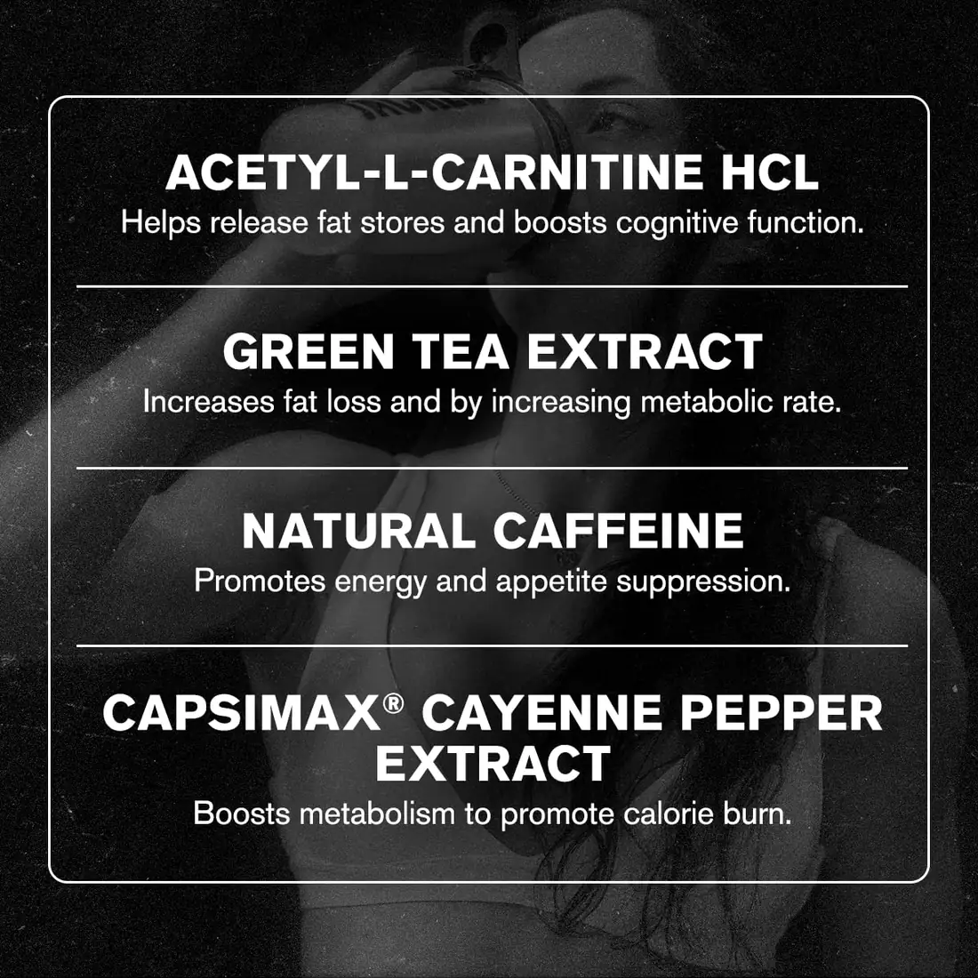 Burn XT ingredients: acetyl-L-carnitine, green tea extract, natural caffeine and Capsimax cayenne pepper extract
